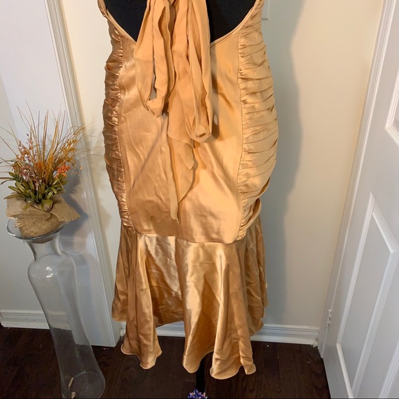 Dina Barel Soft Gold Tone Silk Flattering Dress - Picture 10 of 16